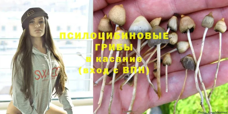 shop наркотические препараты  Советский  Псилоцибиновые грибы Psilocybine cubensis 